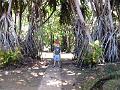 28 - Jardin des eaux 002